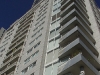 ayala12